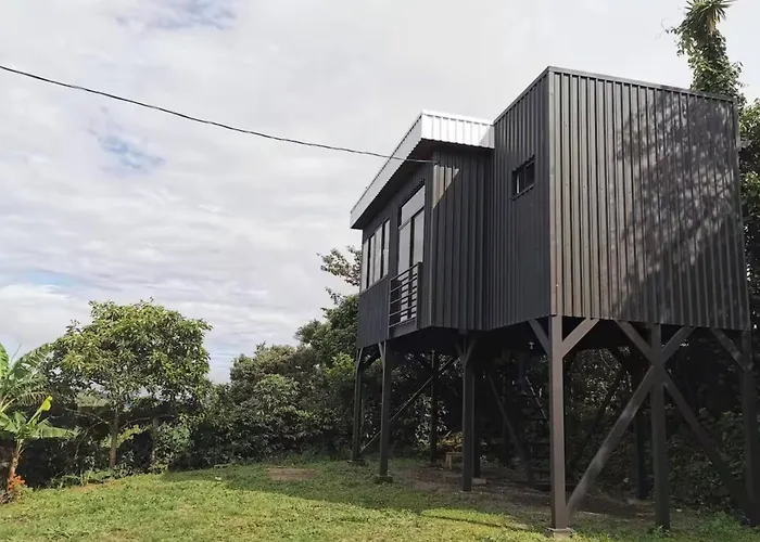 Tranquil Jungle Loft Getaway In Monteverde Cloud Forest Alto Cebadilla
