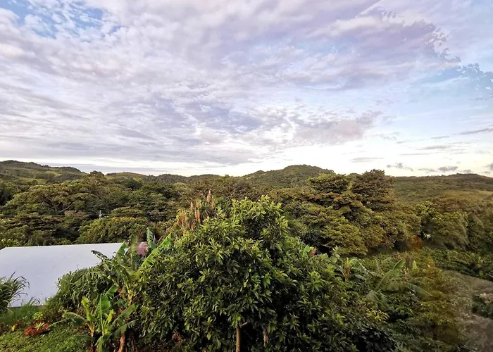 Tranquil Jungle Loft Getaway In Monteverde Cloud Forest Alto Cebadilla