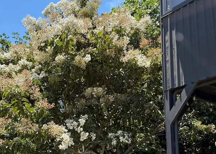Tranquil Jungle Loft Getaway In Monteverde Cloud Forest * Alto Cebadilla