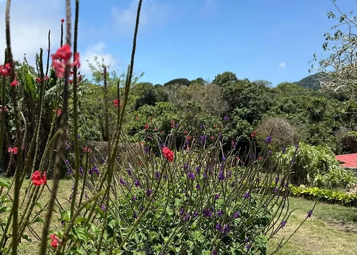 Сasa de vacaciones Tranquil Jungle Loft Getaway In Monteverde Cloud Forest
